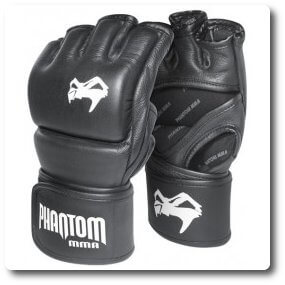 Phantom MMA Raptor Fight Handschuhe
