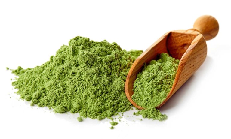 Chlorella Algen